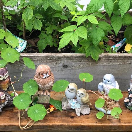 Owly 'Ouse Bed & Breakfast Barnstaple Dış mekan fotoğraf