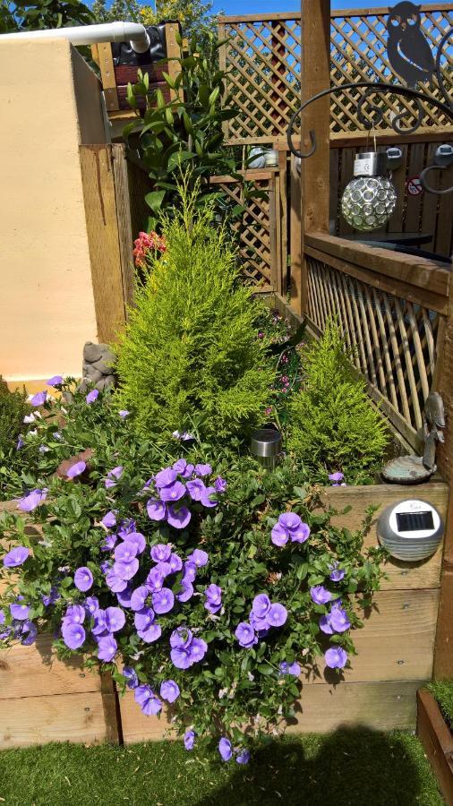 Owly 'Ouse Bed & Breakfast Barnstaple Dış mekan fotoğraf