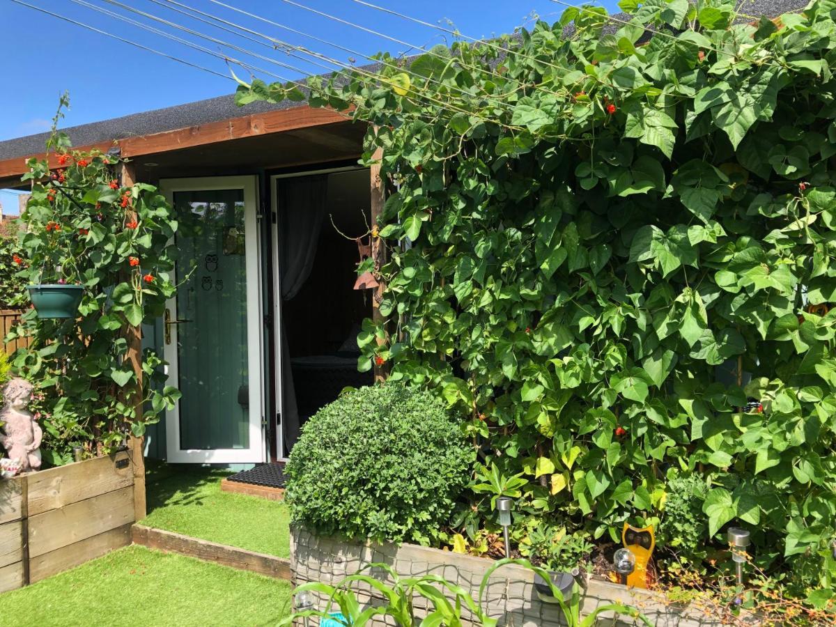 Owly 'Ouse Bed & Breakfast Barnstaple Dış mekan fotoğraf