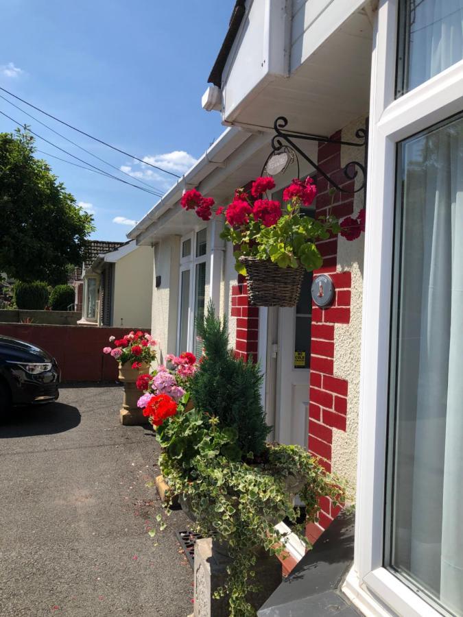 Owly 'Ouse Bed & Breakfast Barnstaple Dış mekan fotoğraf