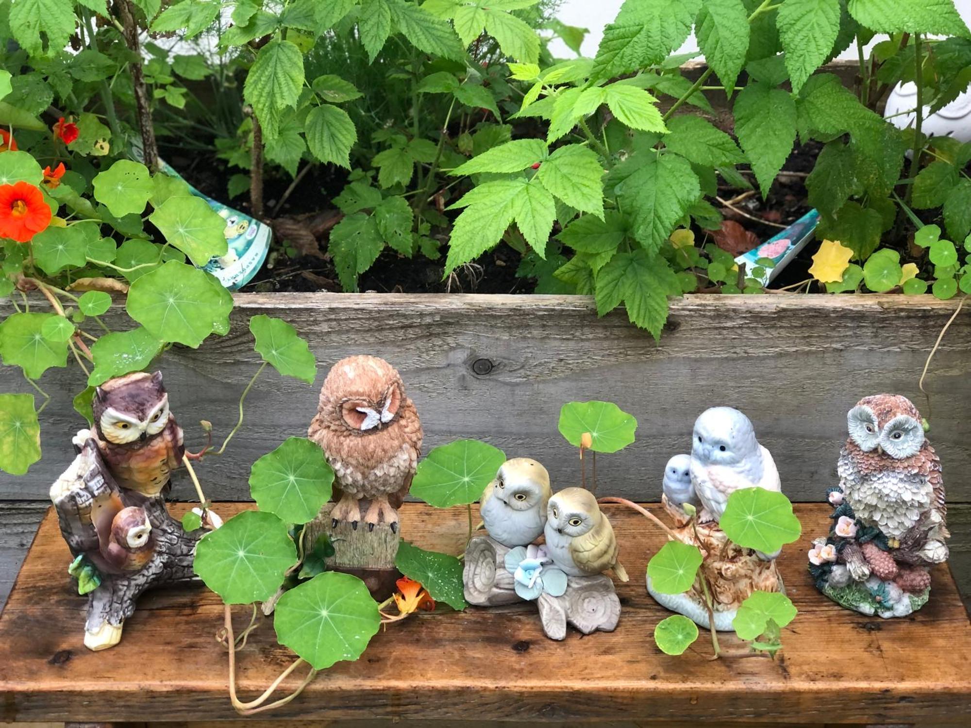 Owly 'Ouse Bed & Breakfast Barnstaple Dış mekan fotoğraf
