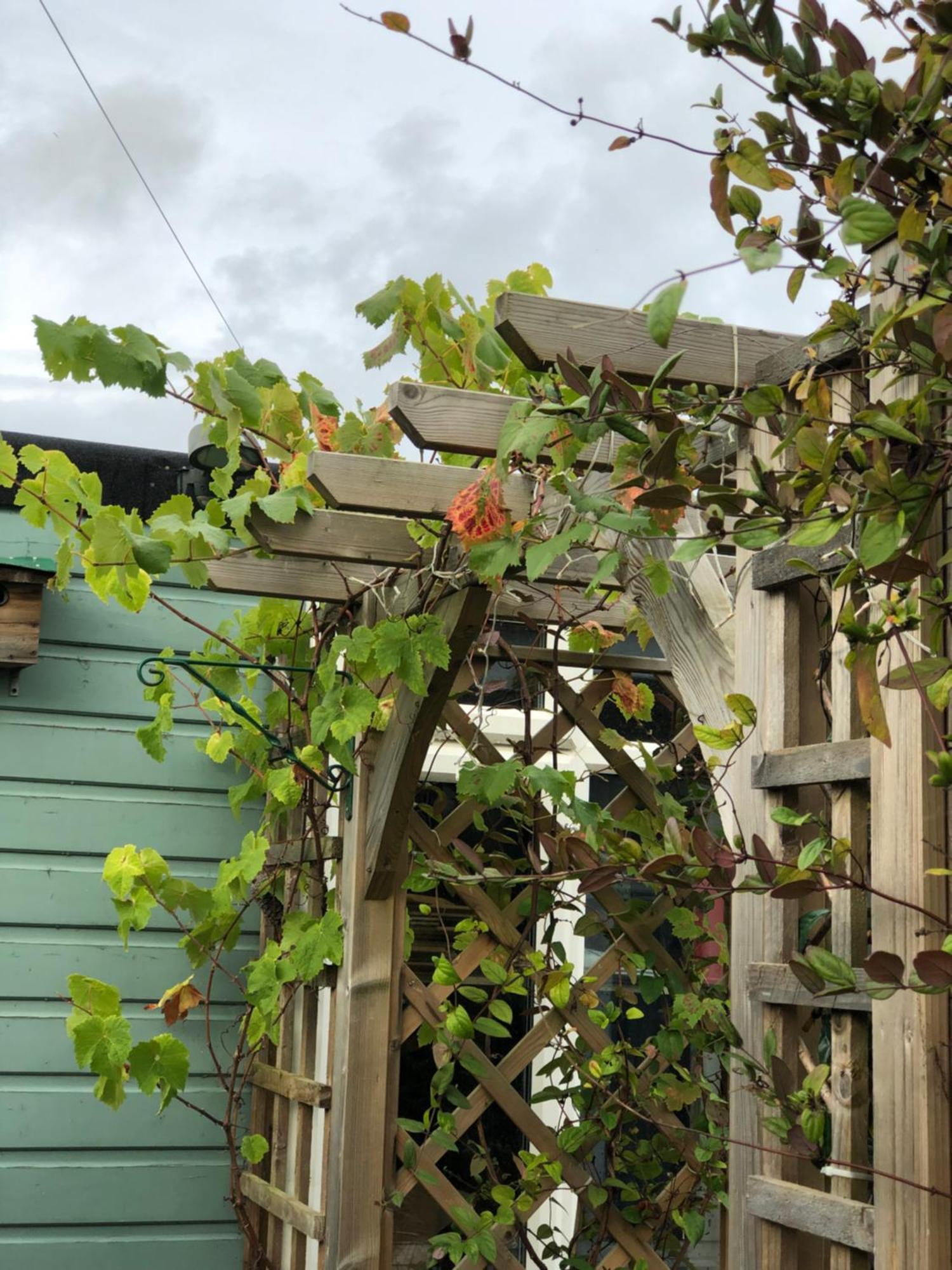 Owly 'Ouse Bed & Breakfast Barnstaple Dış mekan fotoğraf